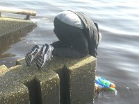 ameland2012 f2 tag7 014