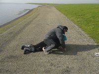 ameland2012 f2 tag7 016