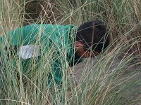 ameland2013 f1 tag4 019