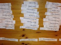 ameland2014 f1 tag1 111