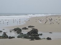 ameland2015 f1 tag4 093