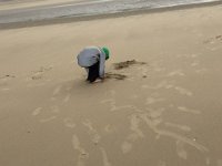 ameland2015 f1 tag4 107