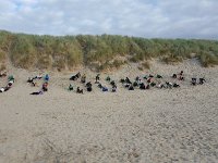 ameland2015 f1 tag7 287