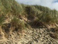 ameland2015 f1 tag7 361