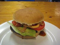 ameland2015 f2 tag7 019