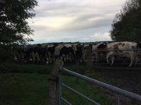 ameland2016 f1 tag1 164