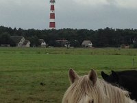 ameland2016 f1 tag4 303