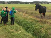 ameland2016 f1 tag4 314