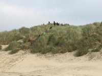 ameland2016 f1 tag7 040