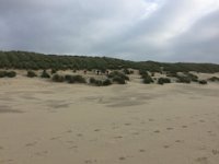 ameland2016 f1 tag7 043