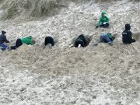 ameland2017 f1 tag6 201