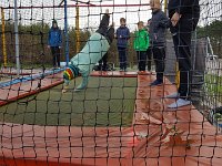 ameland2017 f1 tag7 101