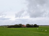 ameland2019 f1 tag1 215