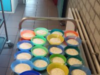 ameland2019 f1 tag4 056