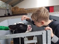 ameland2019 f1 tag5 068