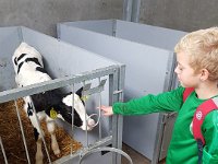 ameland2019 f1 tag5 072