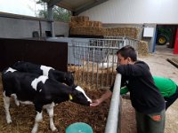 ameland2019 f1 tag5 283