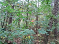 ameland2019 f2 tag2 064