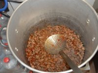 ameland2022 f1 tag5 082