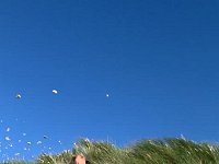 ameland2022 f1 tag6 041