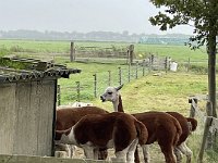 ameland2023 f1 tag3 023