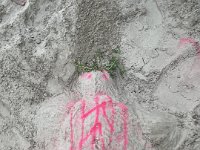 ameland2023 f1 tag5 046