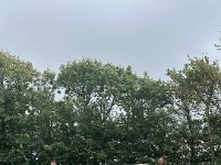 ameland2023 f1 tag6 014