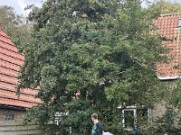 ameland2023 f1 tag6 023