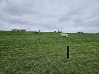 ameland2023 f2 tag1 020