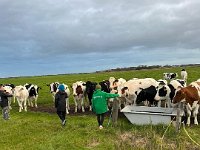 ameland2024 f1 tag3 005