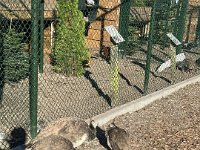 ameland2024 f1 tag4 013