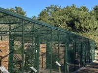 ameland2024 f1 tag4 015