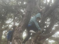 ameland2024 f1 tag6 031