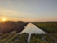 ameland2024 f2 tag6 051