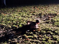 ameland2025 f2 tag3 051